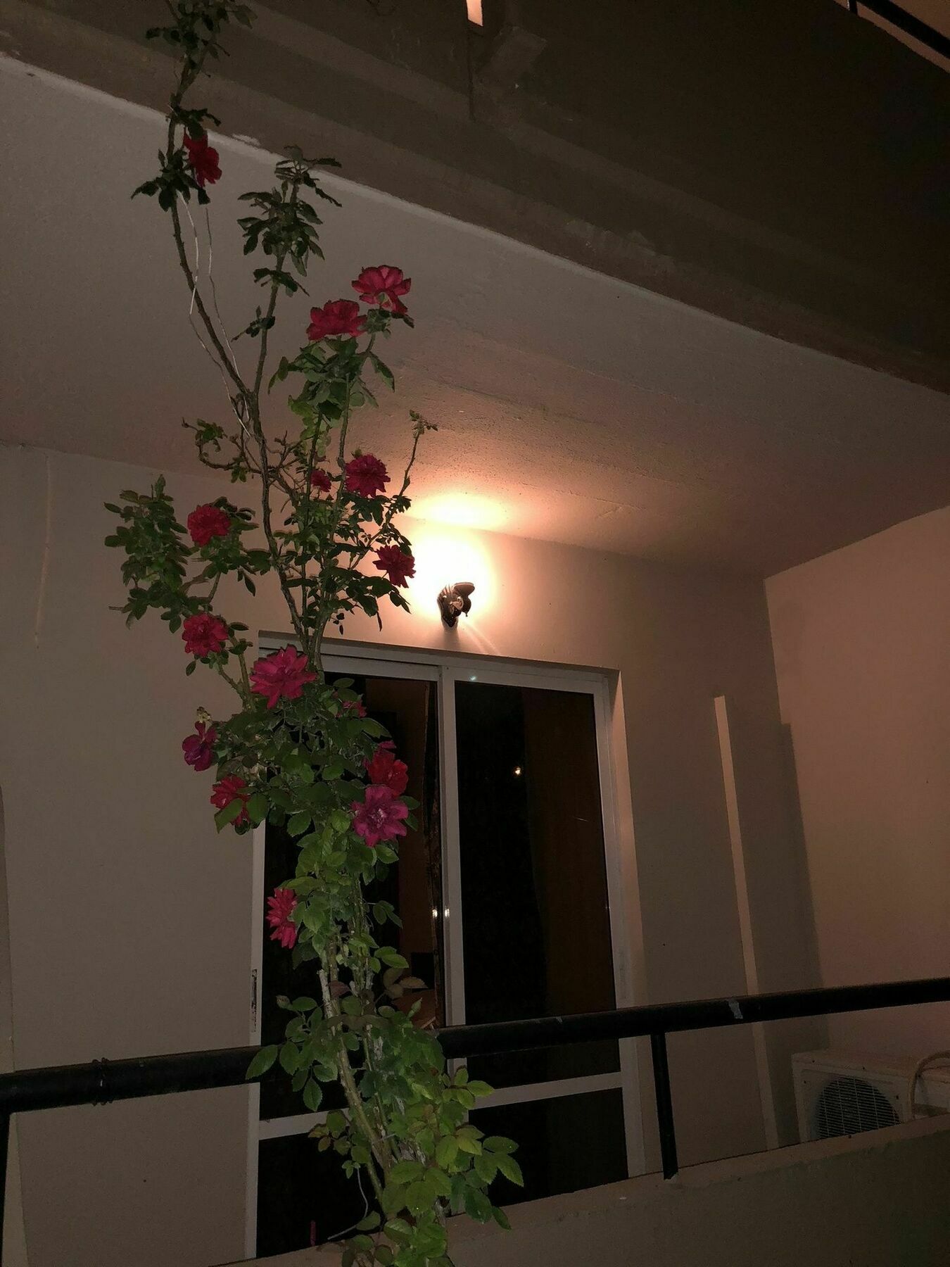 法里拉基 Jimmy'S Garden酒店 外观 照片